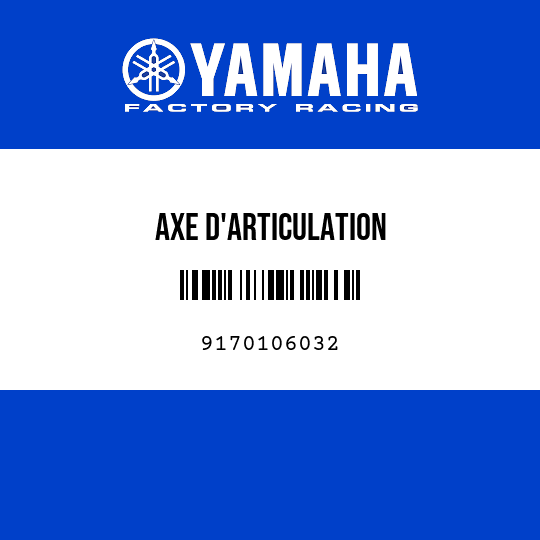 AXE D'ARTICULATION