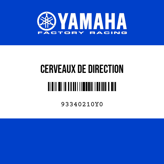 CERVEAUX DE DIRECTION