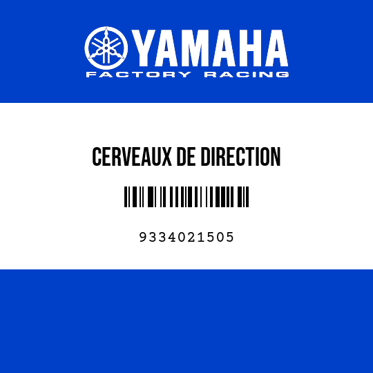 CERVEAUX DE DIRECTION