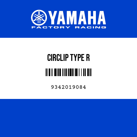 CIRCLIP TYPE R
