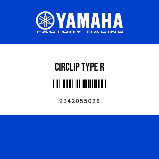 CIRCLIP TYPE R