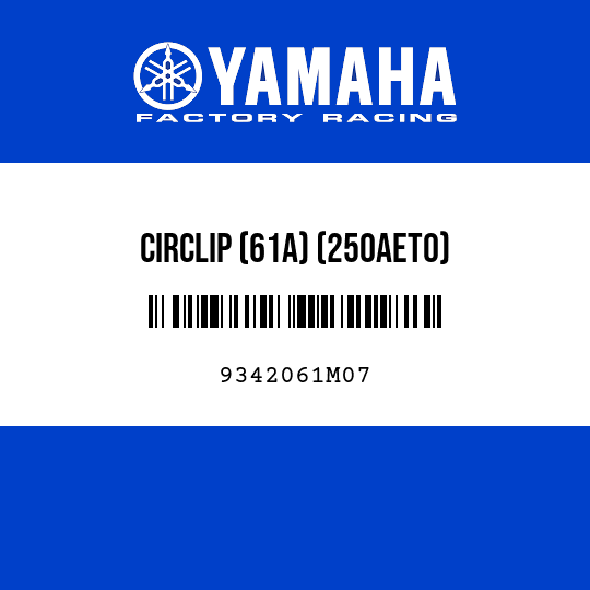 CIRCLIP (61A) (250AETO)