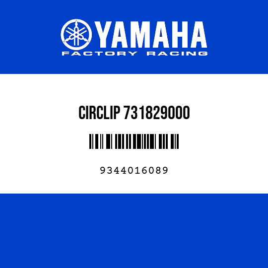 CIRCLIP 731829000