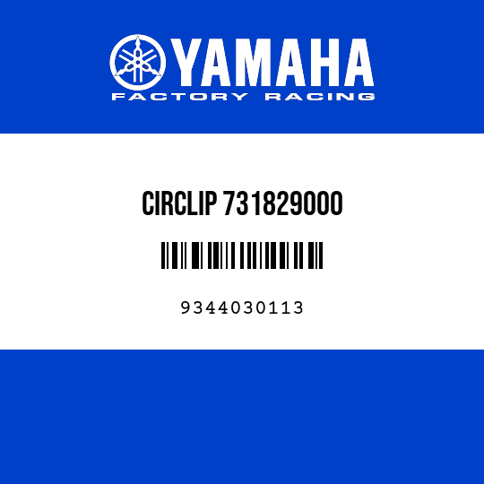 CIRCLIP 731829000