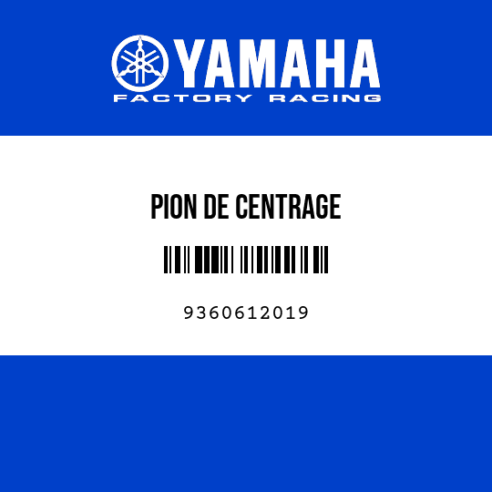 PION DE CENTRAGE