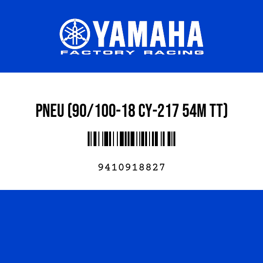 PNEU (90/100-18 CY-217 54M TT)