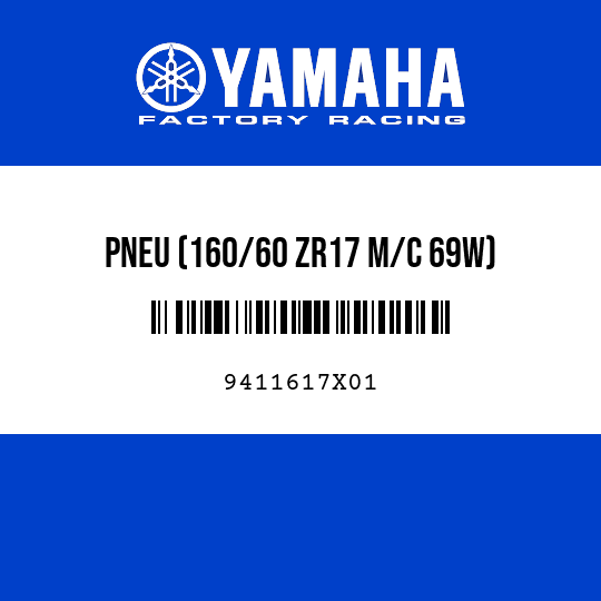 PNEU (160/60 ZR17 M/C 69W)