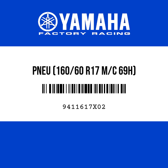 PNEU (160/60 R17 M/C 69H)