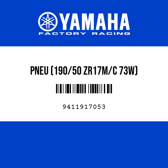 PNEU (190/50 ZR17M/C 73W)
