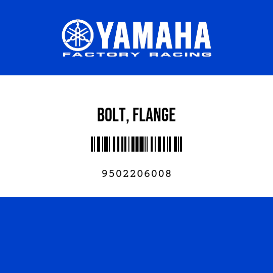 BOLT, FLANGE