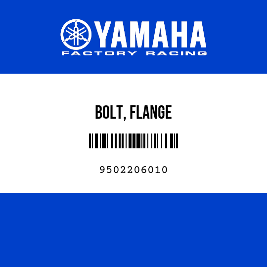 BOLT, FLANGE