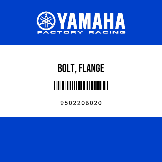 BOLT, FLANGE