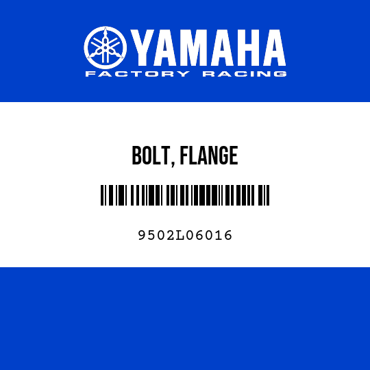 BOLT, FLANGE