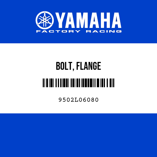 BOLT, FLANGE