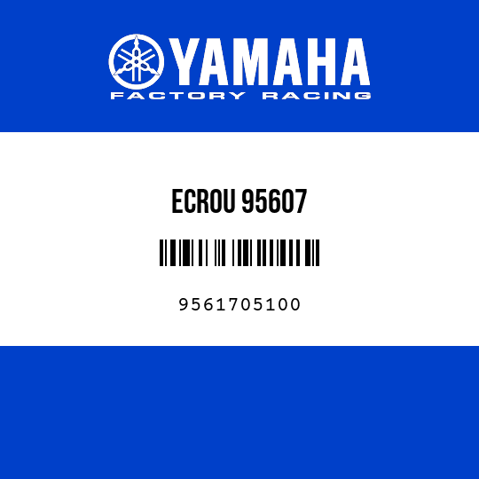 ECROU 95607