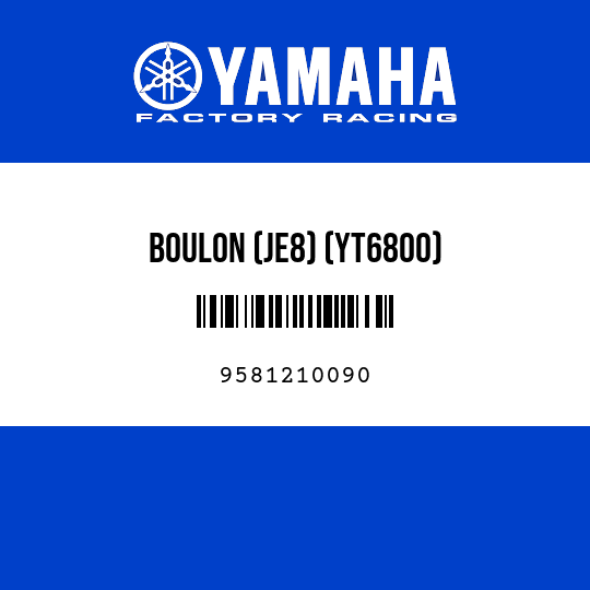 BOULON (JE8) (YT6800)
