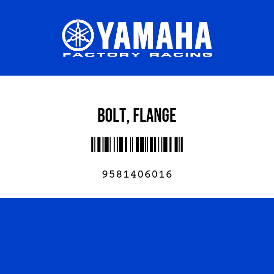 BOLT, FLANGE
