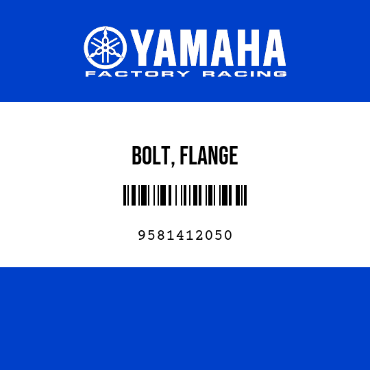 BOLT, FLANGE