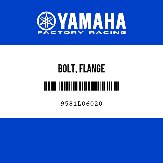 BOLT, FLANGE