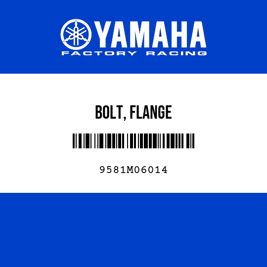 BOLT, FLANGE