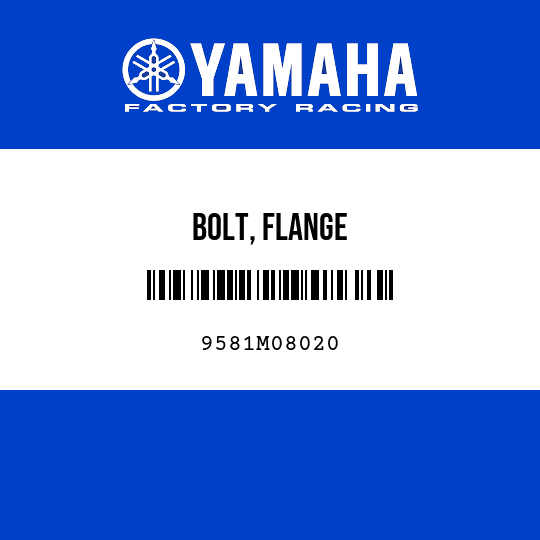 BOLT, FLANGE