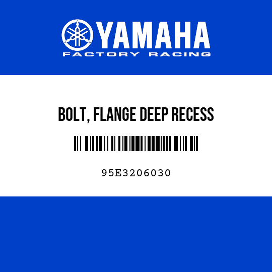 BOLT, FLANGE DEEP RECESS