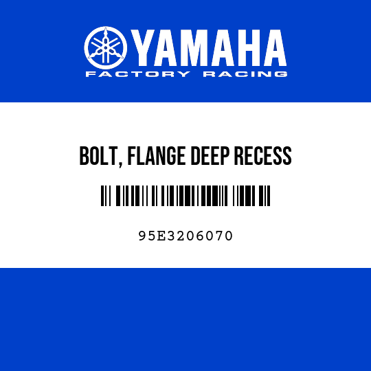 BOLT, FLANGE DEEP RECESS