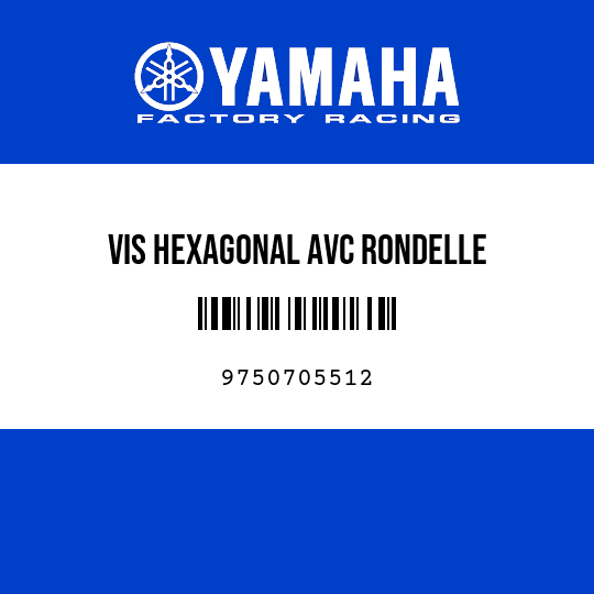 VIS HEXAGONAL AVC RONDELLE