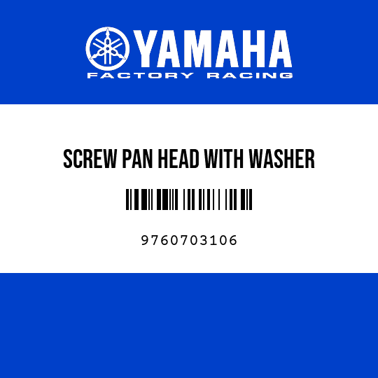 SCREW PAN HEAD WITH WASHER