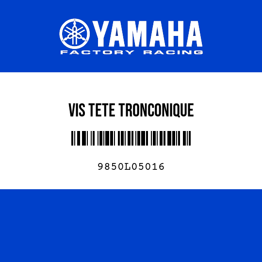 VIS TETE TRONCONIQUE