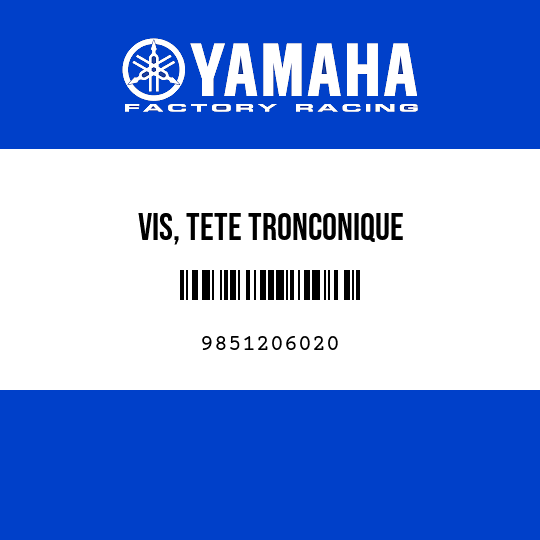 VIS, TETE TRONCONIQUE