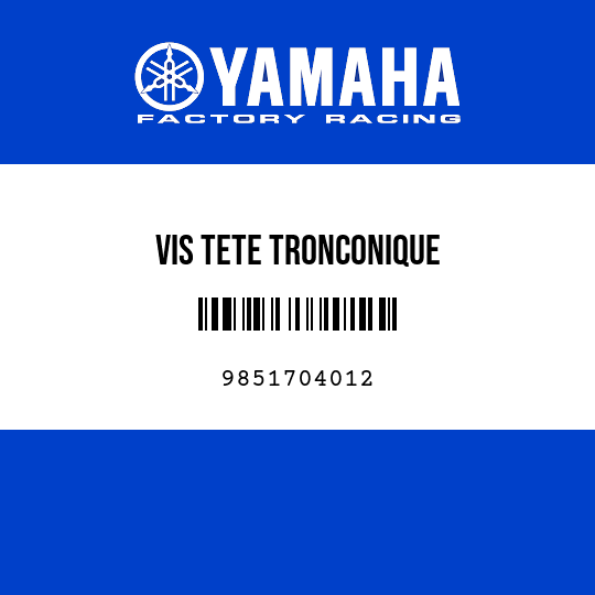 VIS TETE TRONCONIQUE