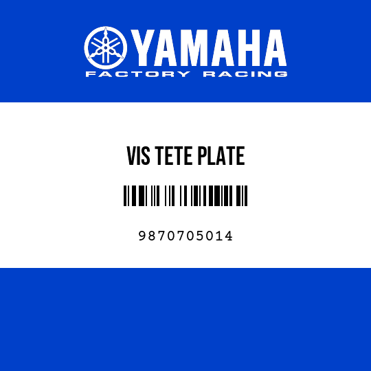 VIS TETE PLATE
