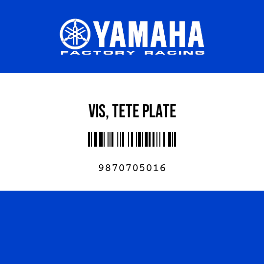VIS, TETE PLATE