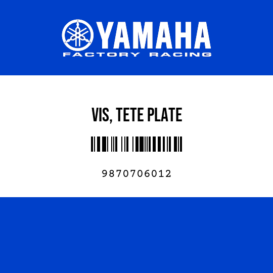 VIS, TETE PLATE