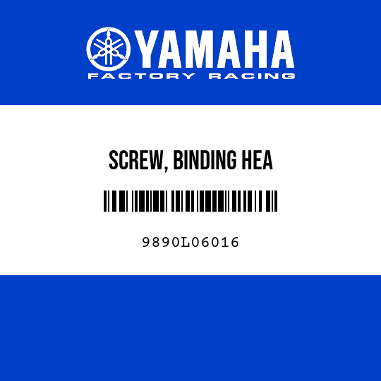 SCREW, BINDING HEA