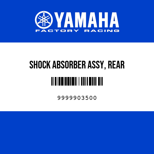 SHOCK ABSORBER ASSY, REAR
