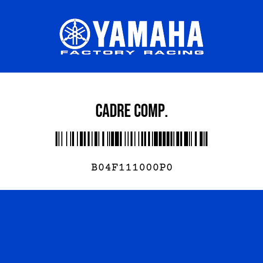 CADRE COMP.
