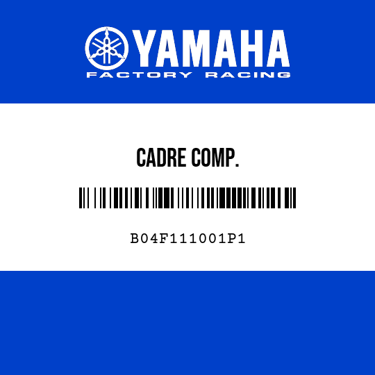 CADRE COMP.