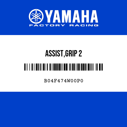ASSIST,GRIP 2