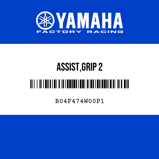 ASSIST,GRIP 2
