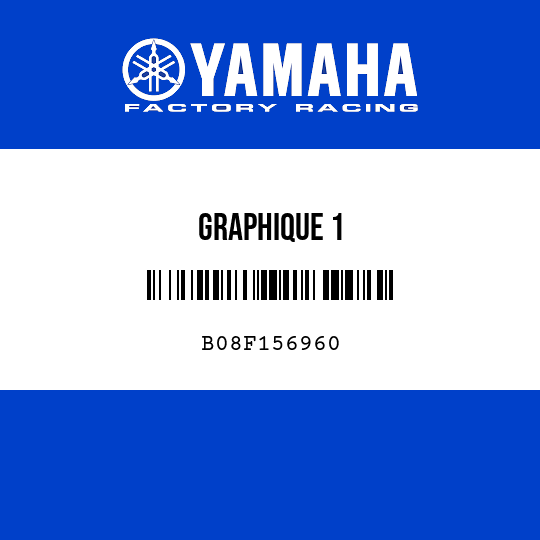 GRAPHIQUE 1
