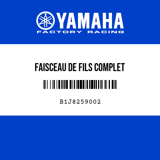 FAISCEAU DE FILS COMPLET