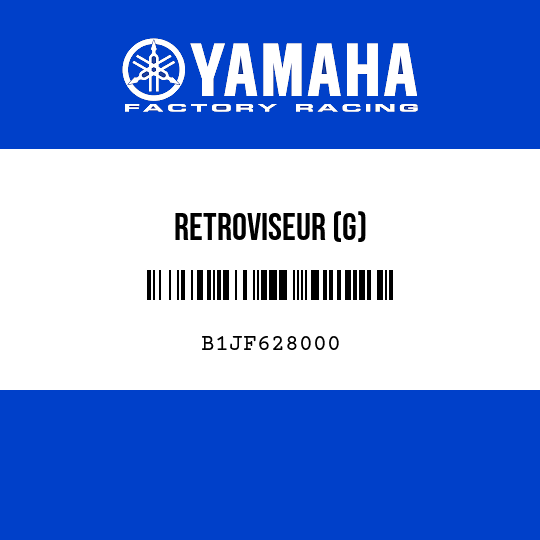 RETROVISEUR (G)