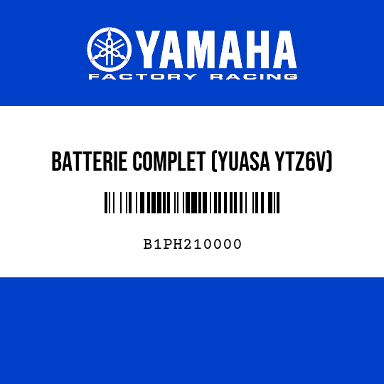 BATTERIE COMPLET (YUASA YTZ6V)