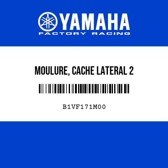 MOULURE, CACHE LATERAL 2