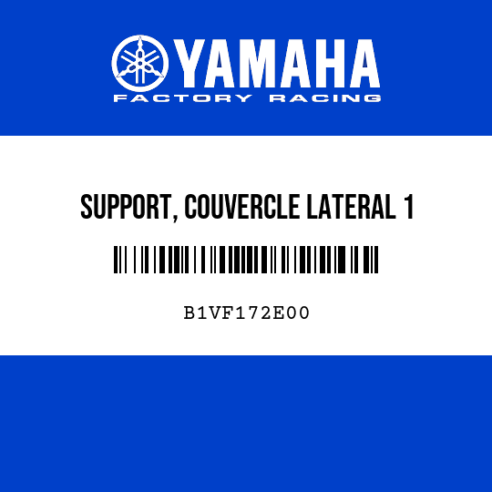 SUPPORT, COUVERCLE LATERAL 1