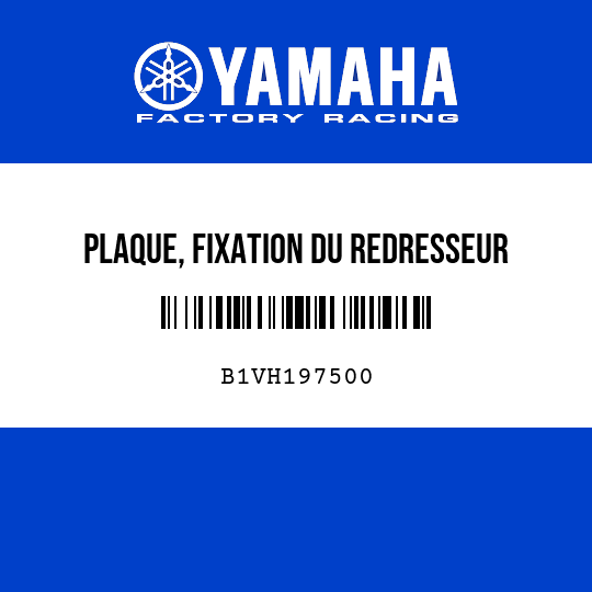 PLAQUE, FIXATION DU REDRESSEUR
