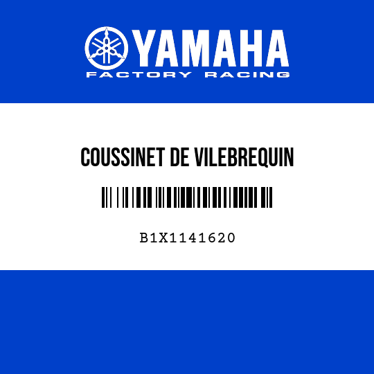 COUSSINET DE VILEBREQUIN