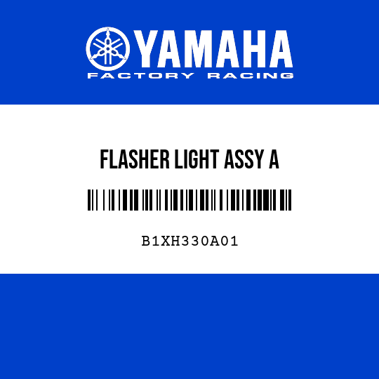FLASHER LIGHT ASSY A